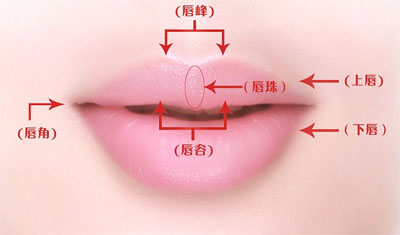 标准唇型